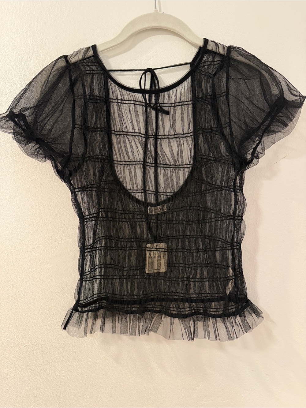 Delicate Black Sheer Ruffle Mesh Blouse